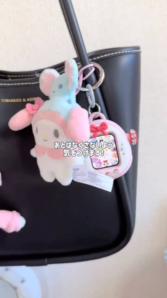 唯一無二のアイテム（画像提供：aimiさん／@sandy_neki）