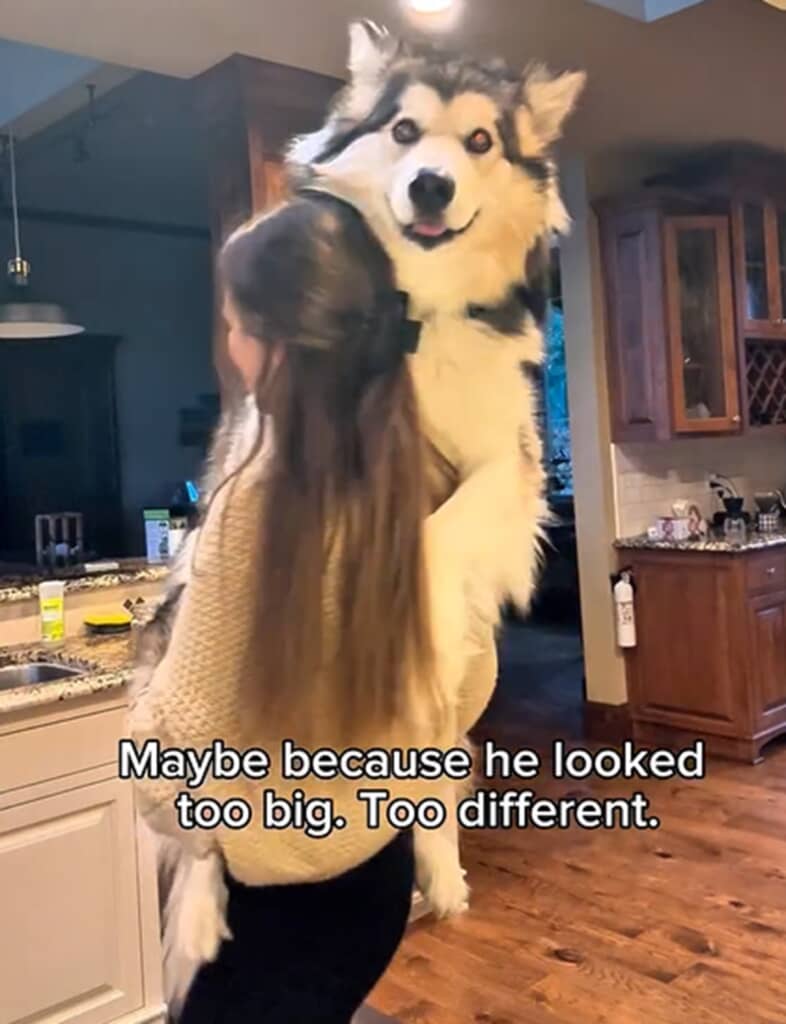 体重43キロのデューク