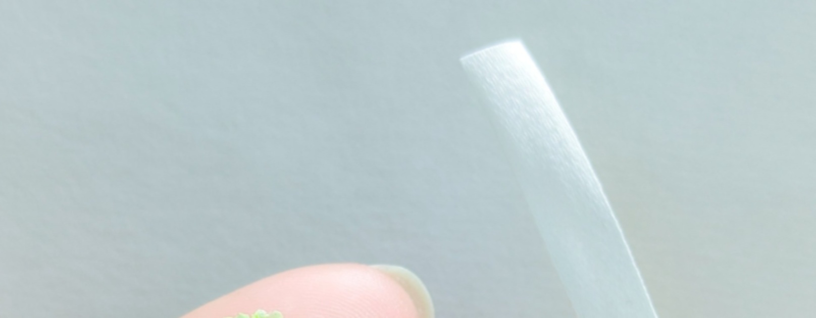 刺しゅう糸作家、白い糸で“野菜”を作ったら……　まさかの完成品に「どういうこと!?」「何がどうなってるのか全くわかんない」（1/3） | ハンドメイド ねとらぼ