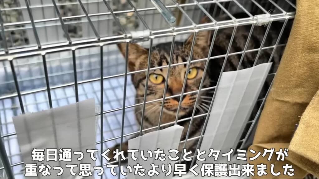 スムーズに保護することができました