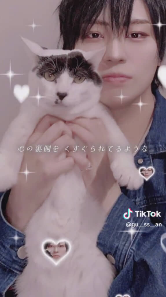 猫を愛でるイケメン