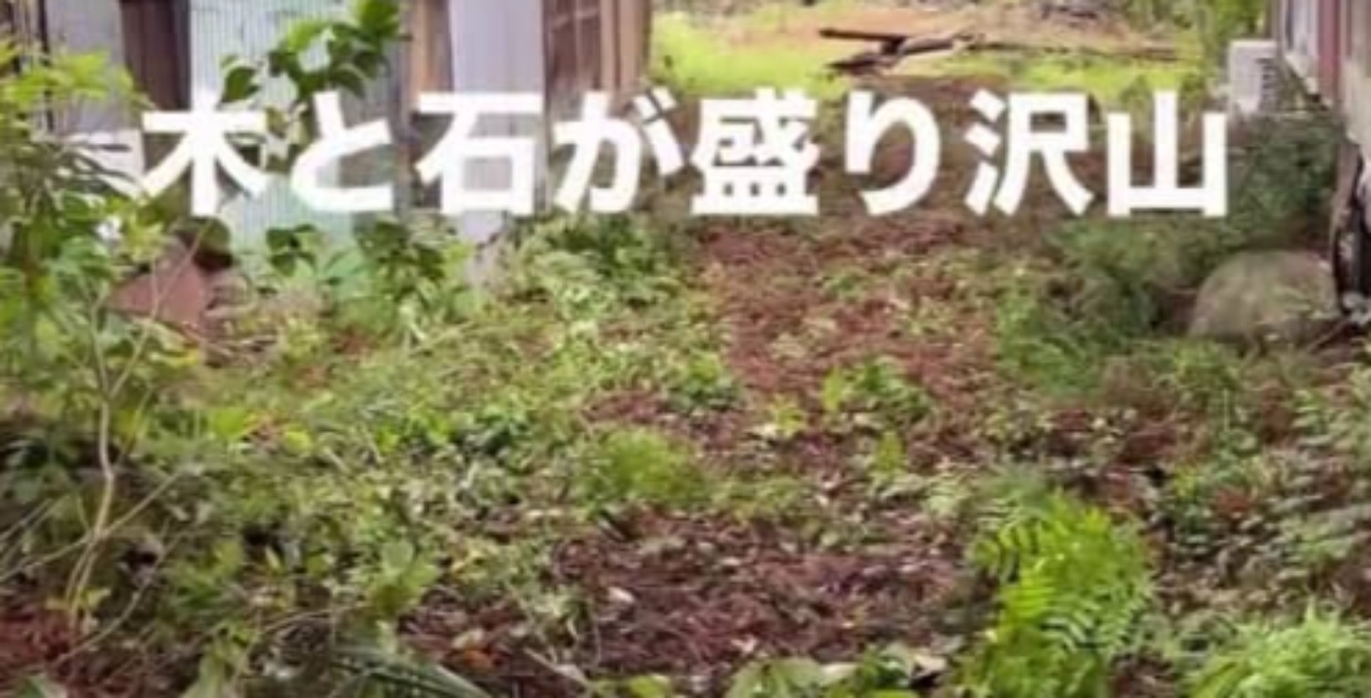 25歳男性、500坪以上の物件を購入→荒れ放題な家を片付けると……　現在の光景に「きれいになくなった」（1/3） | リフォーム・リノベーション・DIY ねとらぼ