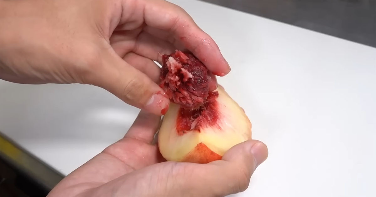 桃を種から育てて4年→「まさかこんな結末になるなんて」　目の前に広がった光景に「泣けてきます」（1/3） | その他生き物 ねとらぼ