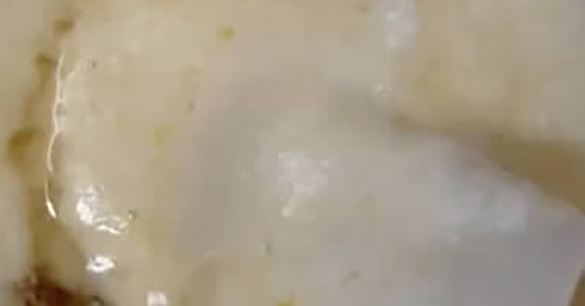 “100年前の日本”のクリスマスケーキを再現したら…… 大正ロマンあふれる“意外な仕上がり”に「素敵」「夢のお菓子だったんだろうなぁ」(1/2) | グルメ ねとらぼ