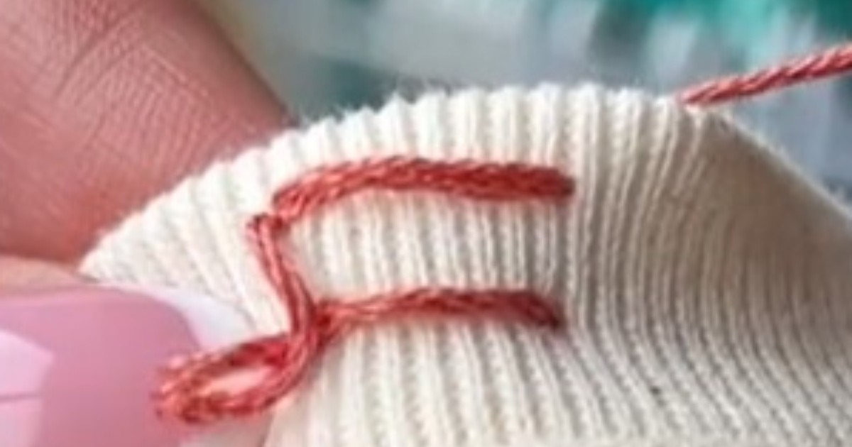 無地のスウェット→刺しゅう針を“7回”通すだけで……　目を疑うような完成品が690万再生「やってみたくなった」「ステキ！」【海外】（1/2） | ハンドメイド ねとらぼ