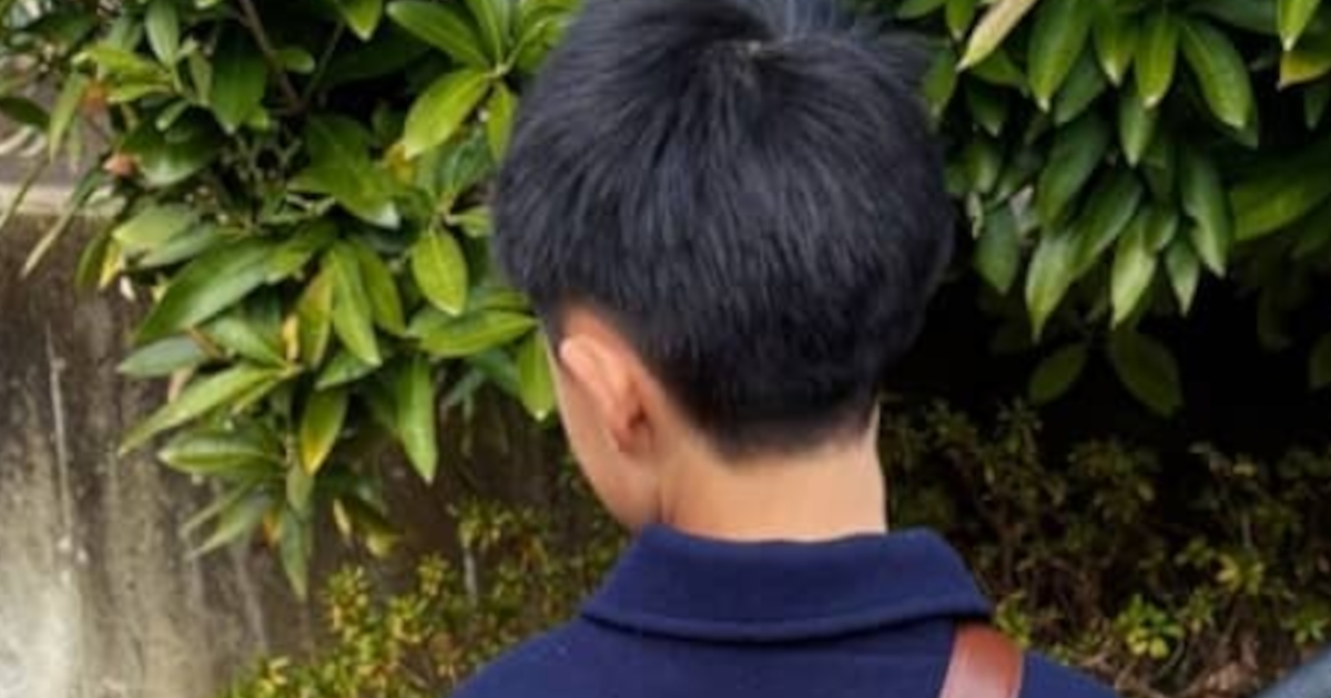 造形作家が小2おいっ子に“本気のプレゼント”を作ると……　「50歳だけど俺もこれ欲しい」大人も欲しがるアイテムに「うわあああ」「親戚ガチャSSSR」（1/3） | ハンドメイド ねとらぼ