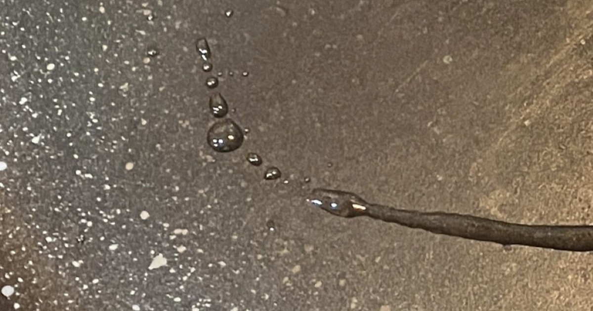 フライパンでハンバーグを焼こうとしたら→「美しい……」　目を疑う“まさかの光景”に「すごい達筆」「もうフォント」（1/2） | ライフスタイル ねとらぼ