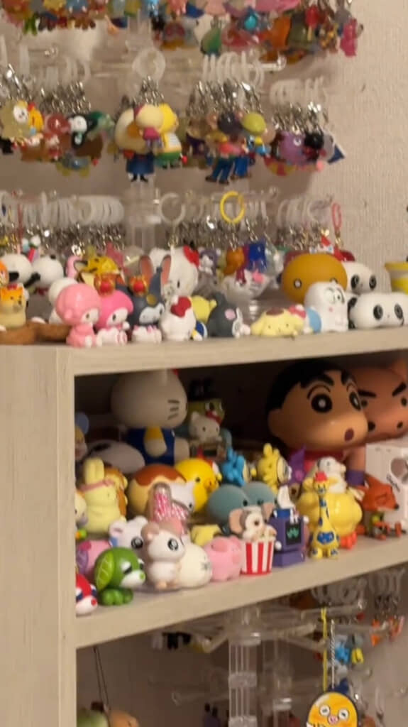 奥には丁寧にディスプレイされたコレクションも