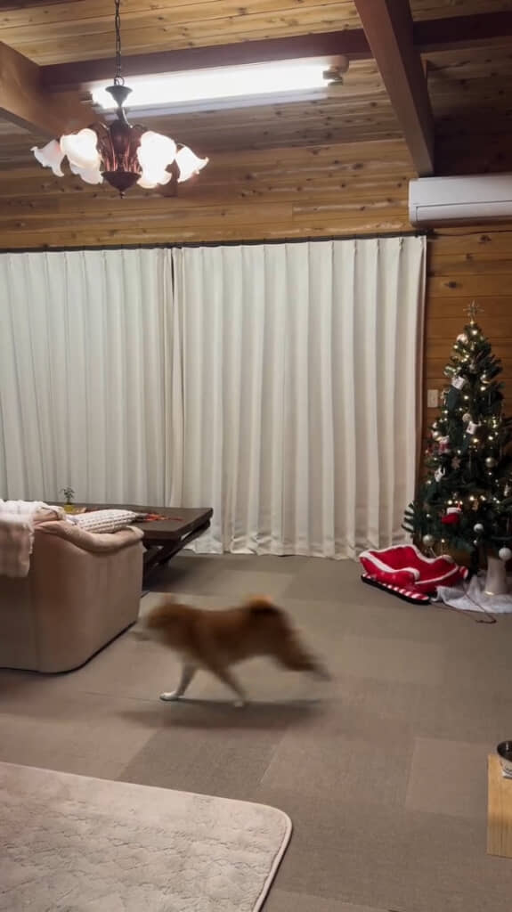 そして追いかける梅ちゃん