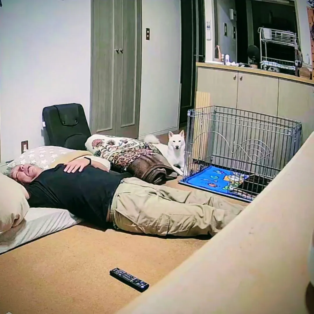 メスライオンさんが声をかけるとこのはちゃんが反応！