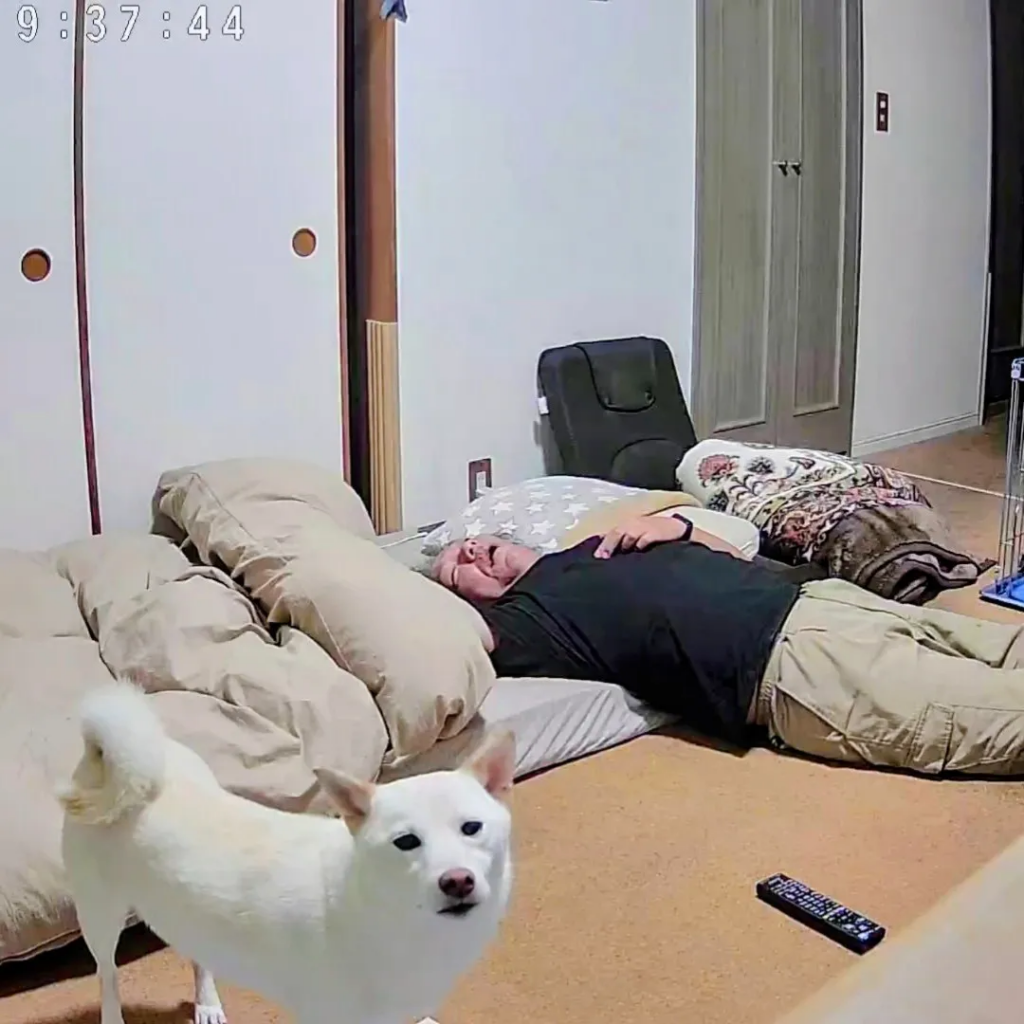 カメラに近寄ってくれました！　しかし夫は……