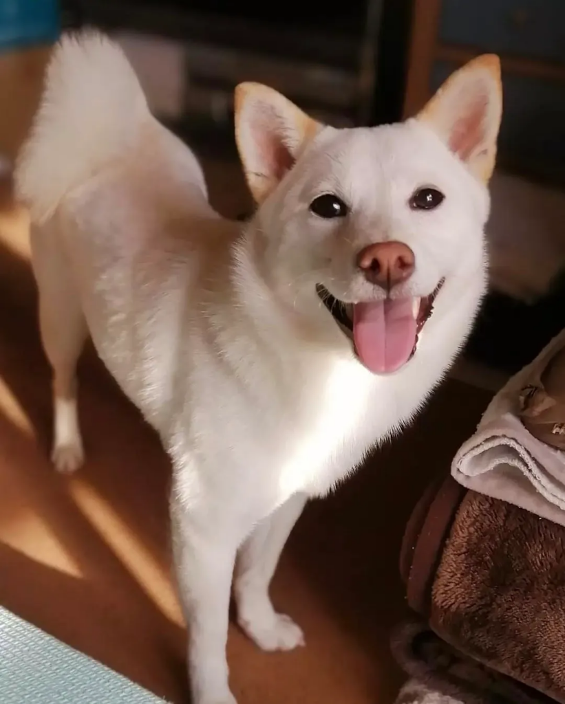 かわいい笑顔！
