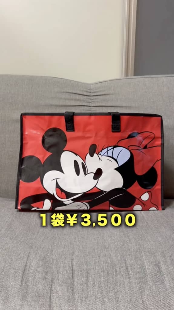 1袋3500円のディズニー「ラッキーバッグ」