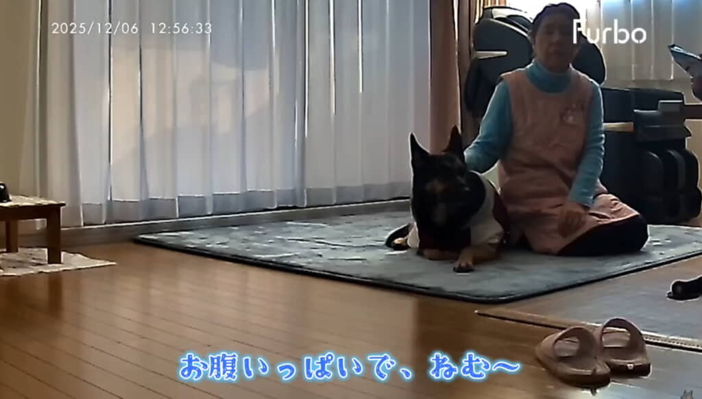 食後はおばあちゃんとまったり