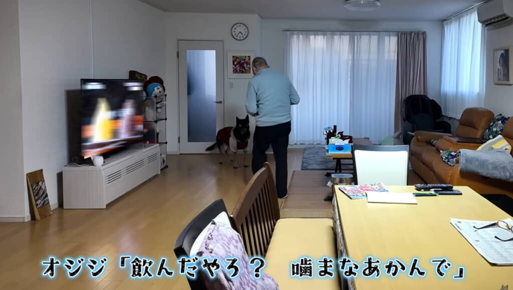 完全に孫とおじいちゃんの図