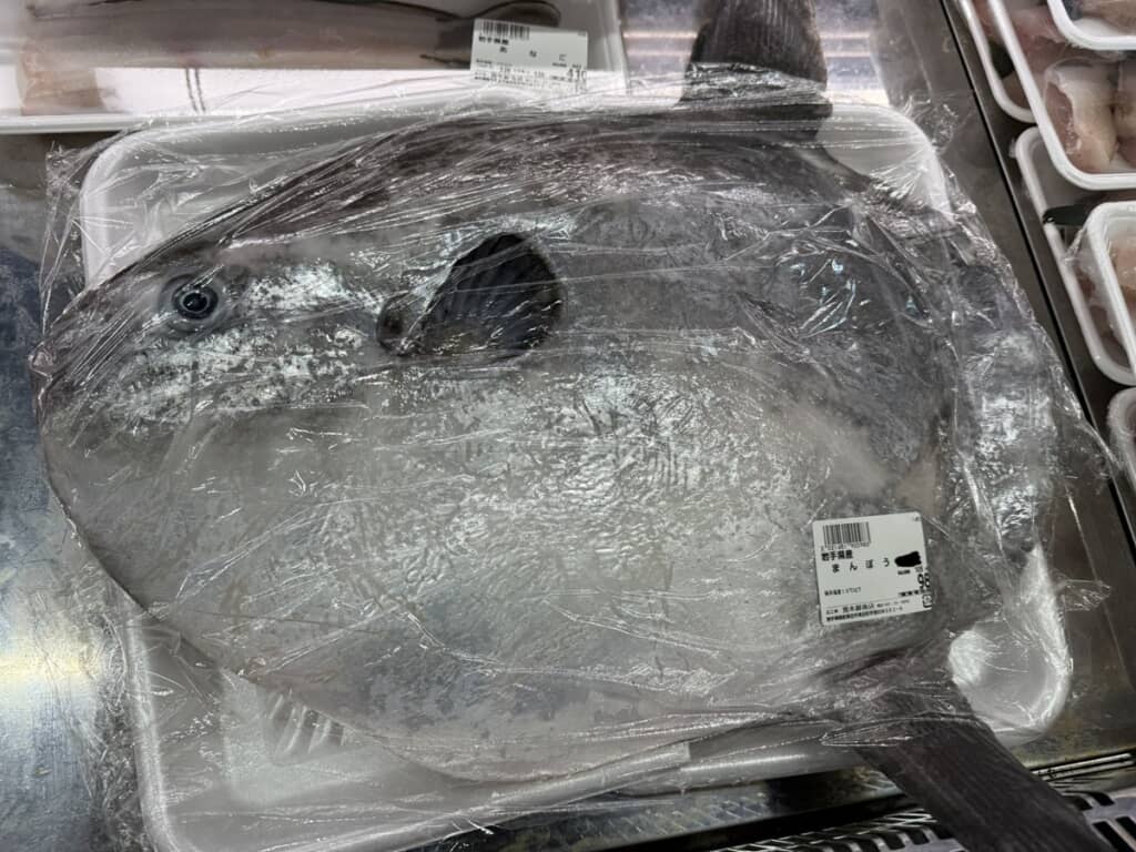丸ごと1匹売られていたマンボウ