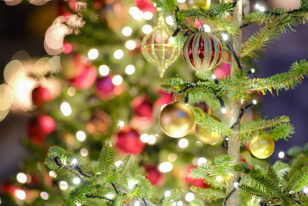 クリスマスといえばツリーですが……