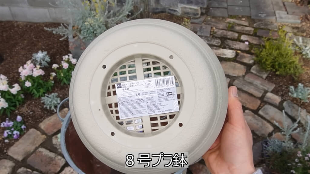 ダイソーの8号プラ鉢
