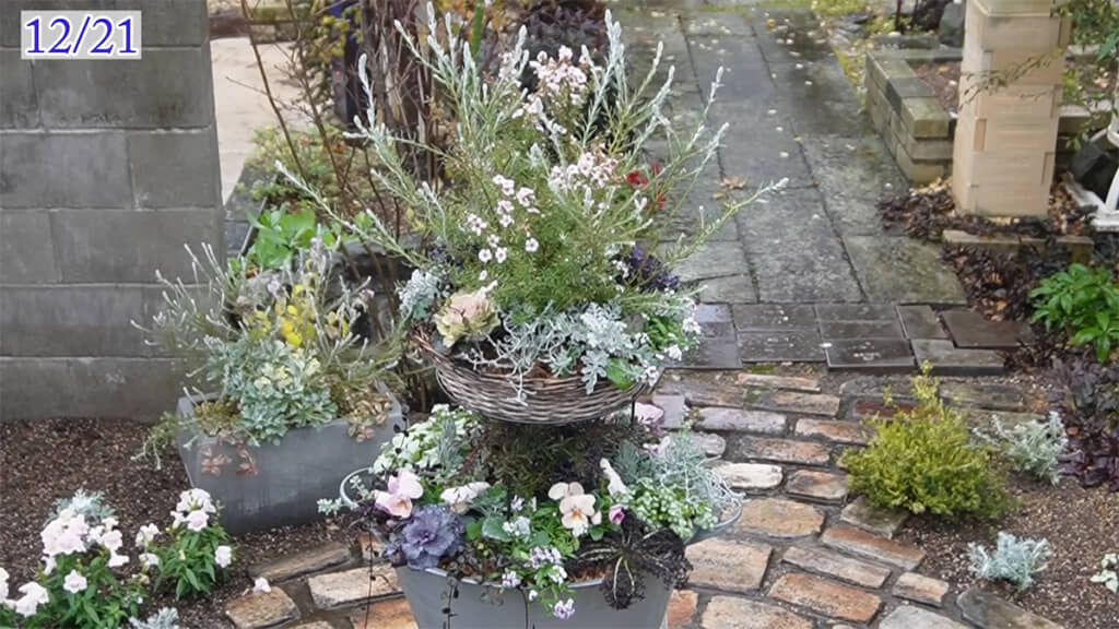 完成した直後に雨に降られてしまいました