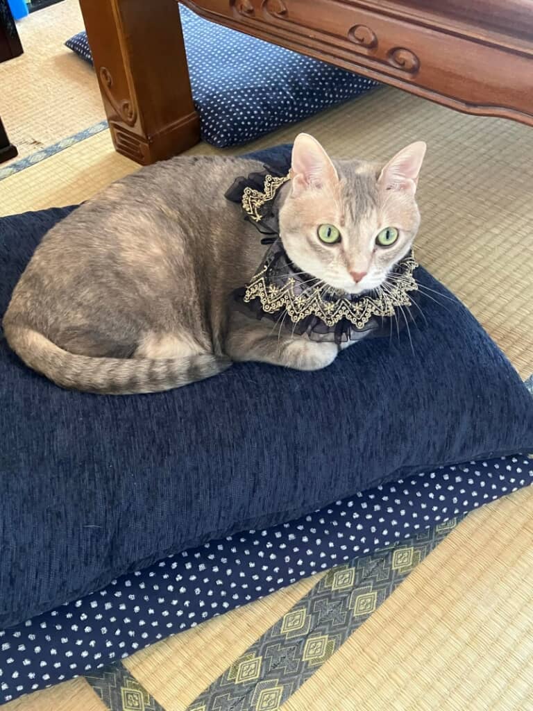 どっちが本物なのか一瞬見間違えてしまいます