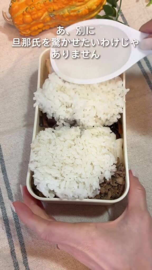 ごはんでおかずを隠してしまいました