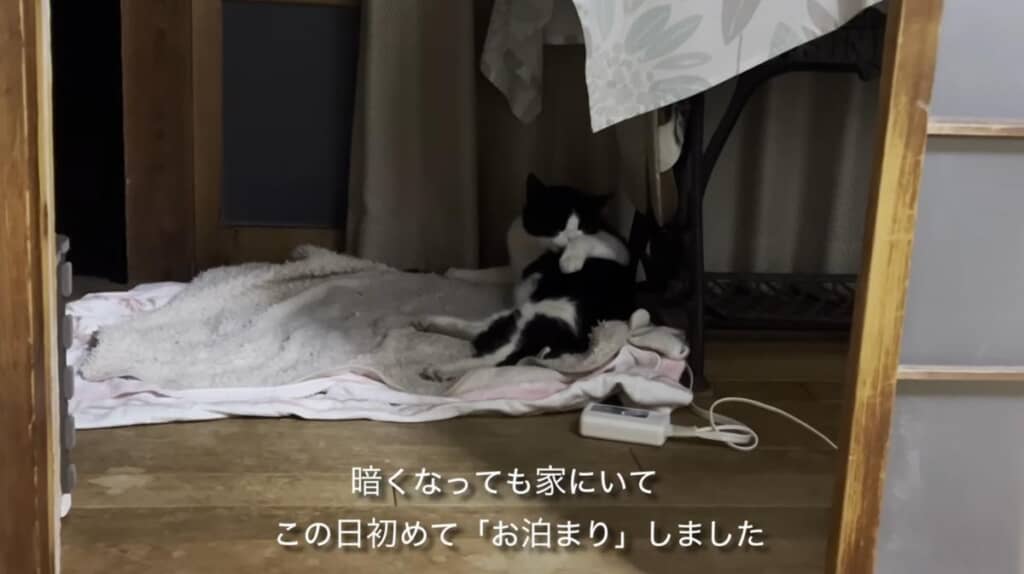 初めての“お泊まり”