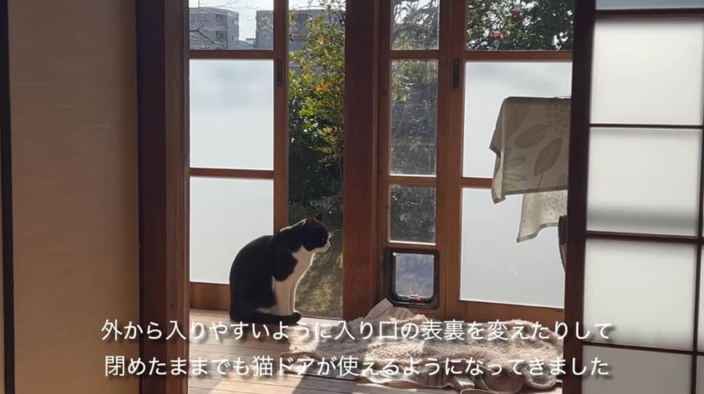 入り口の仕様を変えたら、上手に使えるように