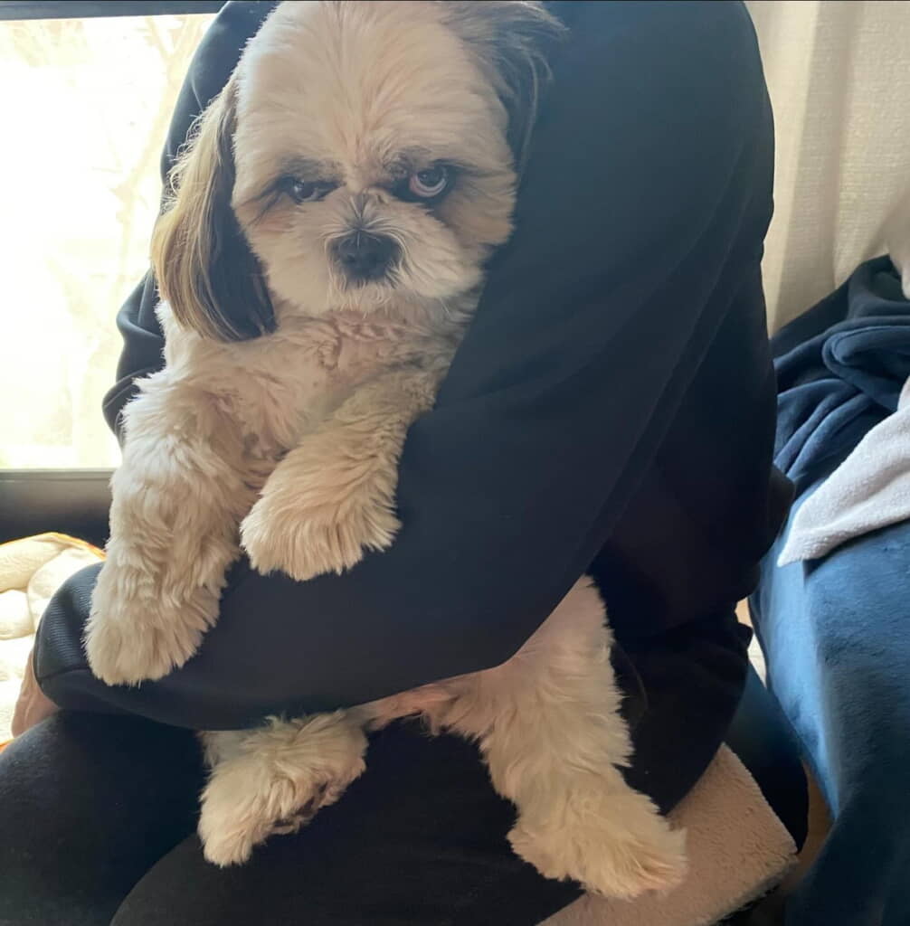 叔父に抱っこされたあおくん