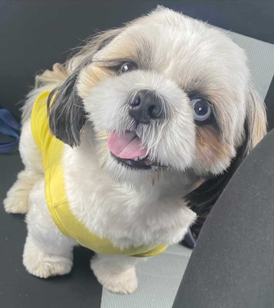 普段は笑顔がすてきな男の子