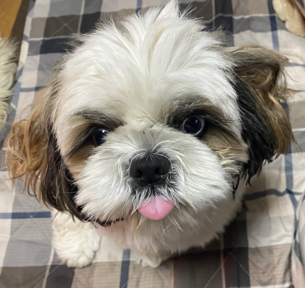 寝ぐせ＆お茶目な顔もキュート