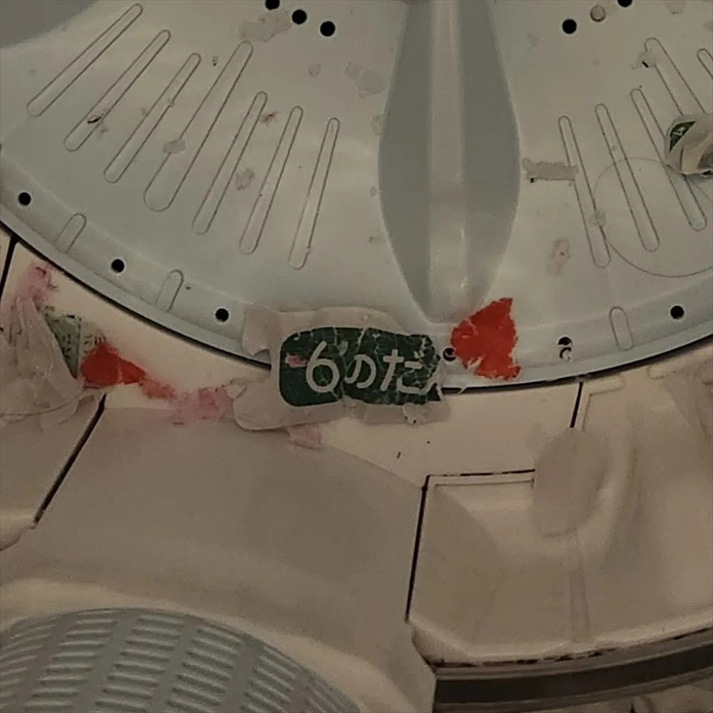 小学2年生の息子の服を洗濯後、洗濯機に広がっていたまさかの光景