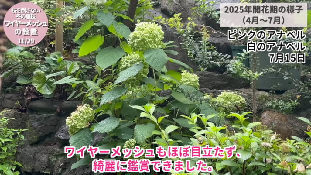 ワイヤーメッシュはほとんど目立たない