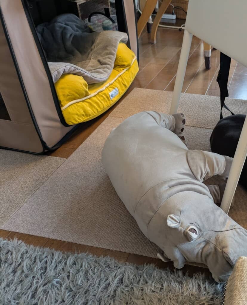 IKEAで一目ぼれしたぬいぐるみ