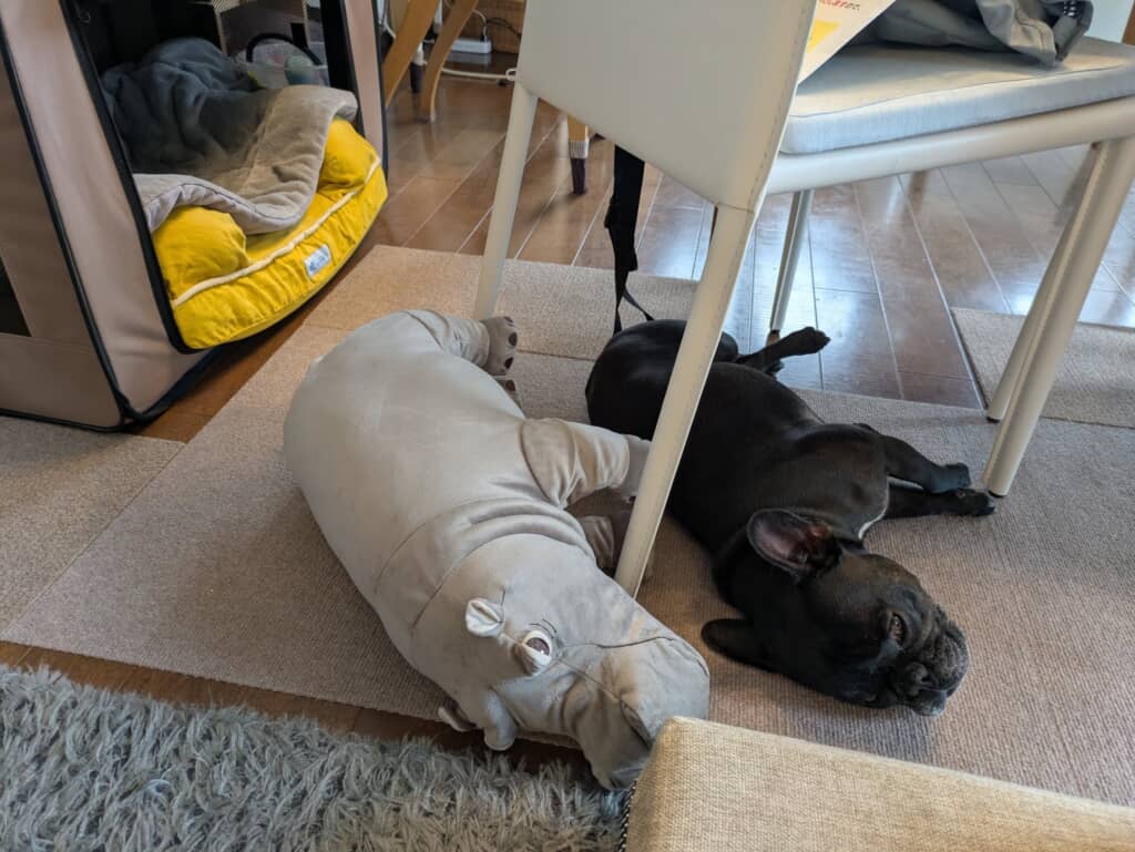 IKEAで一目ぼれしたぬいぐるみ