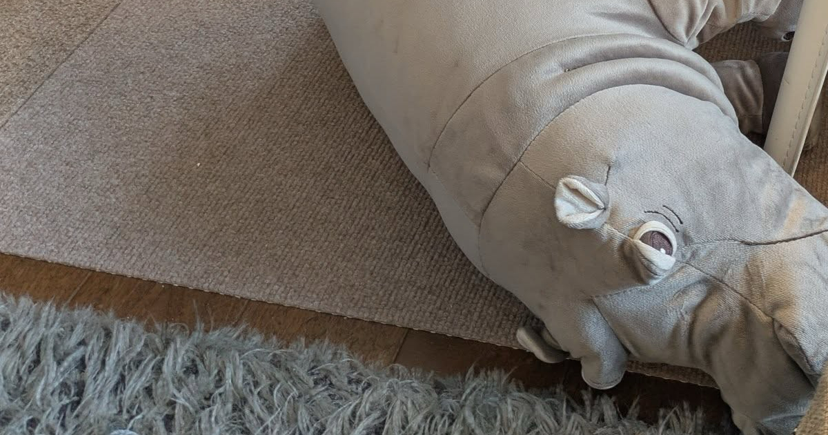 IKEAで「カバのぬいぐるみ」を購入→家に帰ると……「そうか」　一目ぼれの“理由”が一発で分かる1枚に「これは欲しくなる」（1/2） | 犬 ねとらぼ