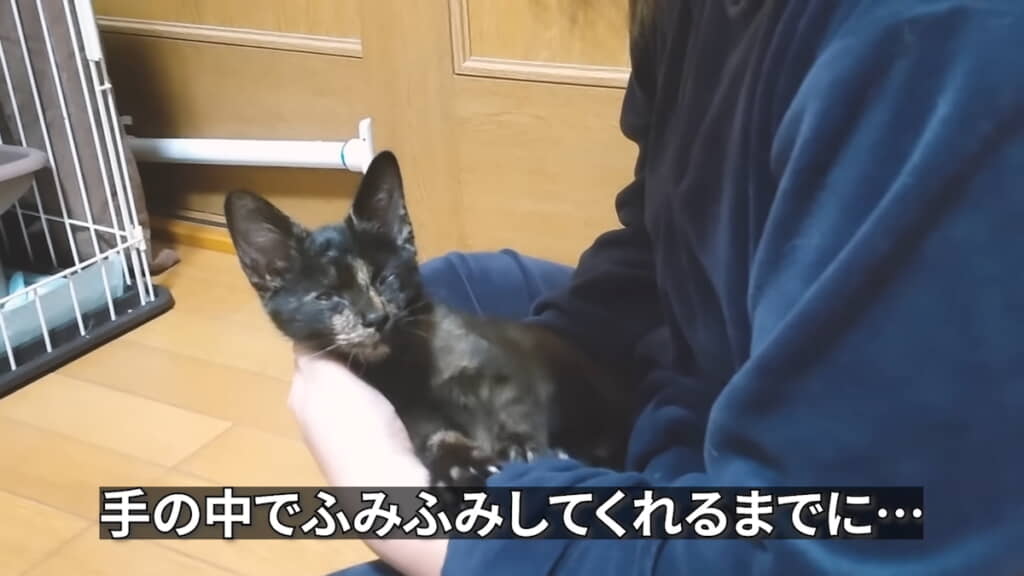 腕の中で“ふみふみ”
