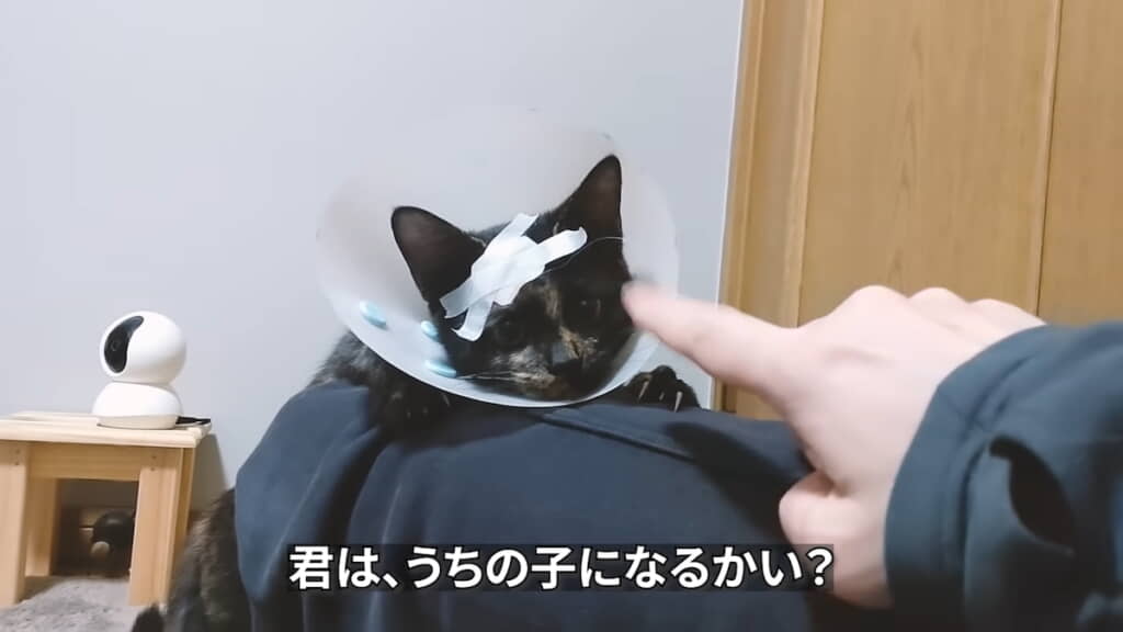 家族の一員になった！
