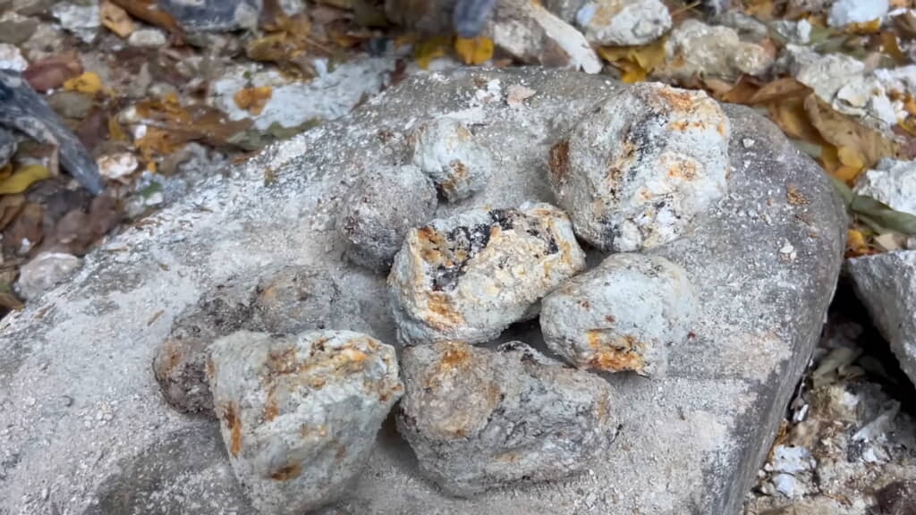 それらしき石をいくつもゲット
