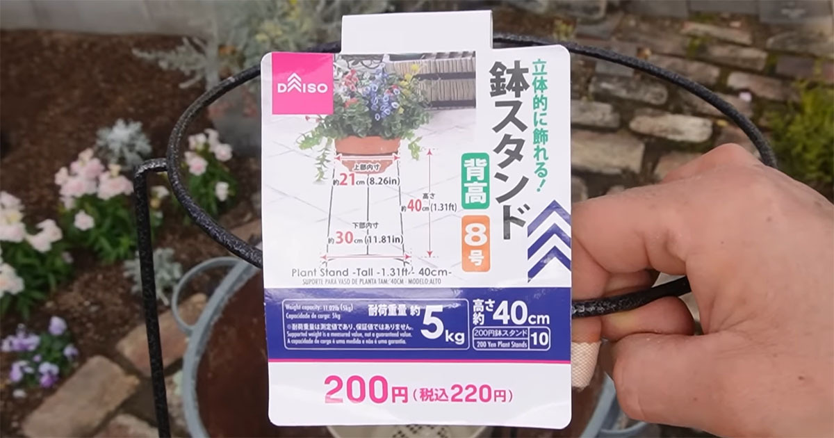 ダイソーのプラ鉢と鉢スタンドを組み合わせると……　冬の庭に映える“寄せ植え”に「めちゃくちゃ素敵」「発想が素晴らしい！」（1/3） | ライフスタイル ねとらぼ