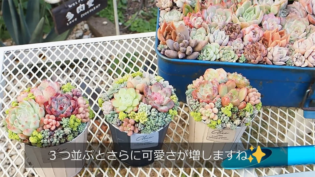 3つ並べるとさらにかわいいです◎