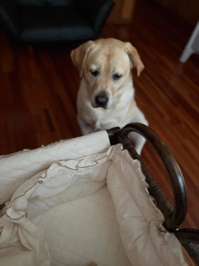 とっても寂しそうな薫風ちゃん