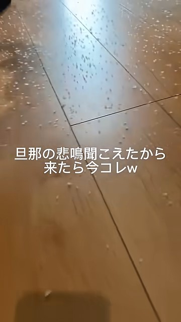 床にはゴミがたくさん