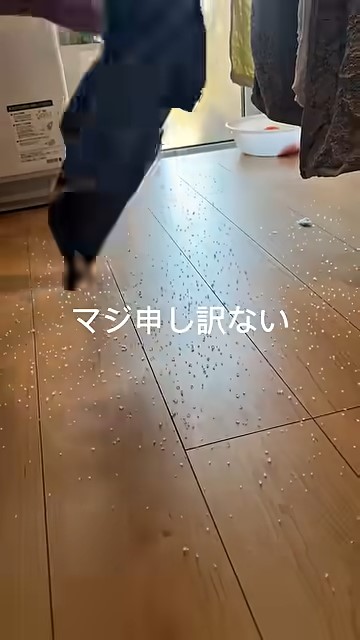 吸水ポリマーだらけの床
