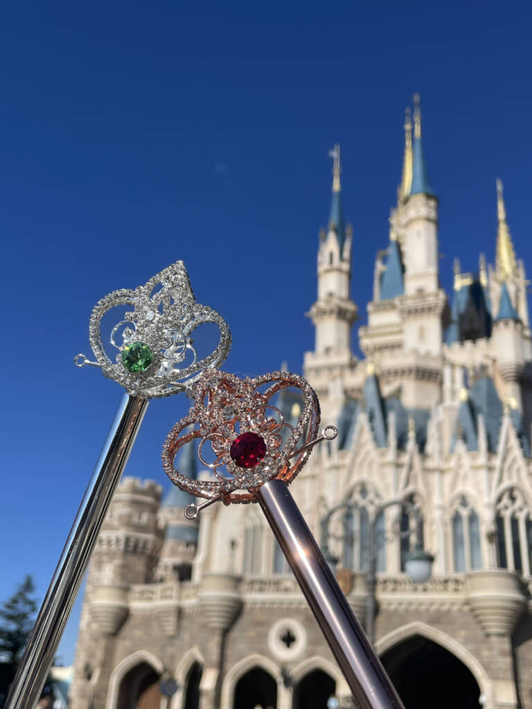 2人でディズニーランドを思い切り満喫しました