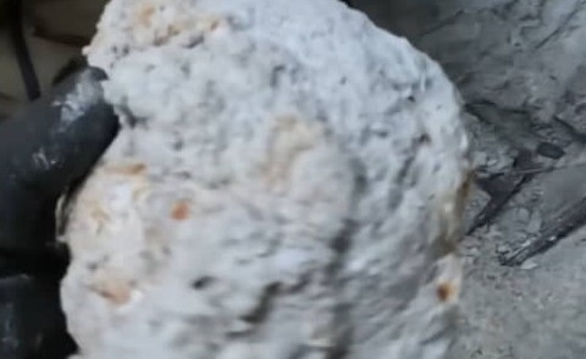 山奥で拾った“でっかい塊”→割ったら…… 「これはエグい」衝撃的中身に絶句「けしからん!!」(1/3) | ライフスタイル ねとらぼ