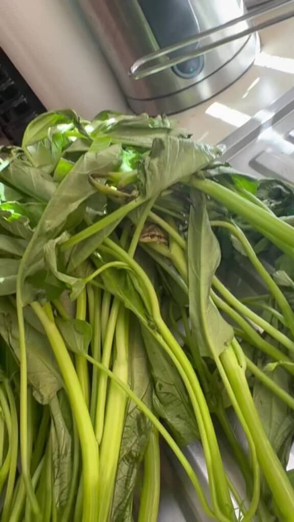 冷蔵庫に1日入れていた空心菜