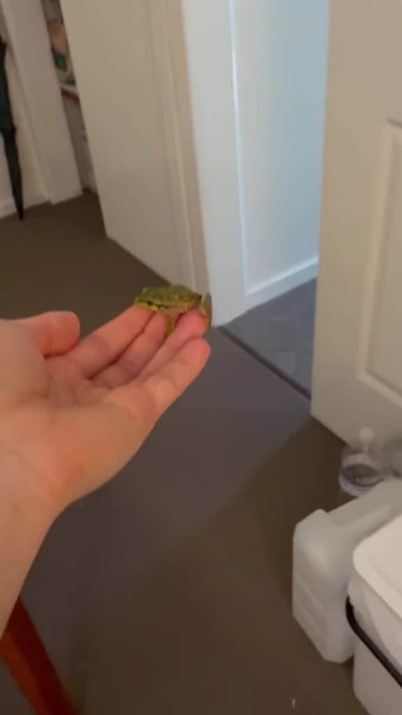 無事に逃がすことができました