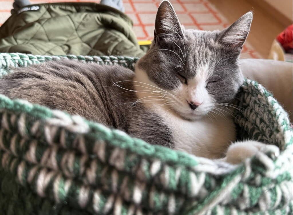 制作途中で、すでに満足そう