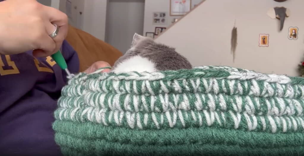 編み続ける飼い主さんと、くつろぎ続ける猫ちゃん