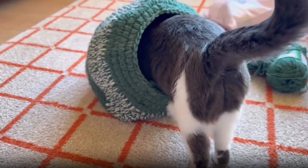 今度は入口の大きさを確認